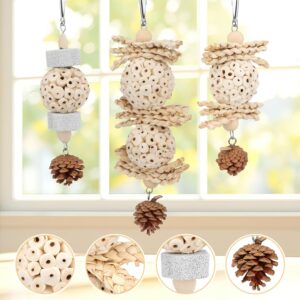 Bird Foraging Toy Natural Chew 3 Pack - Image 3