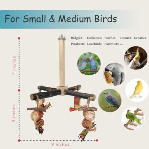 Bird Perch Rotating Wooden Stand Chew Toys - Image 2