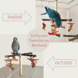 Bird Perch Rotating Wooden Stand Chew Toys - Image 5
