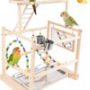 Bird Playground 3 Layer Stand with Feeder Cups