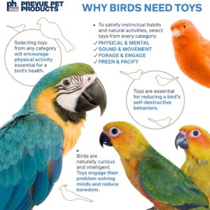 Bird Toy Natural Material Woodland Harvest - Image 6